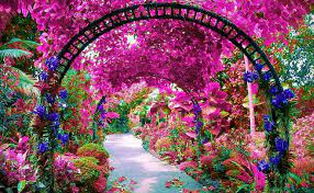 National orchid garden (singapore, singapore): National Orchid Garden Singapore Tickets Buy Online