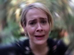 Pin By Geraldine On Sarah Paulson Sarah Paulson Funny Reaction Pictures Meme Faces