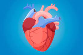 How To Make Your Heart Stronger – Cleveland Clinic
