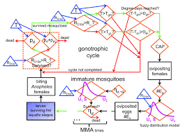 Flow Chart Of The Simulation Of The Mosquito Population