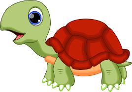 Designed and sold by artists. Free Download Cute Cartoon Turtles For Pinterest 1648x1153 For Your Desktop Mobile Tablet Explore 47 Animated Sea Turtle Wallpaper Iphone Sea Turtle Wallpaper For Computer Turtle Desktop Wallpaper I