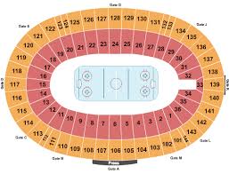 Buy Dallas Stars Tickets Front Row Seats