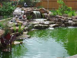 Maybe you would like to learn more about one of these? The Secret To Crystal Clear Pond Water The Pond Doctor