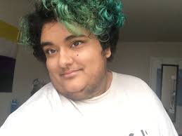 About Us — Program for Inclusion and Neurodiversity Education