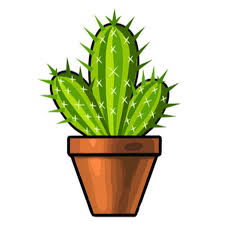 Stop by the oregon state fairgrounds to get. Cactus Youtube