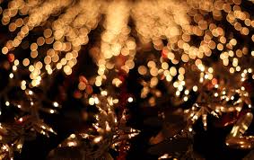 Diwali, the hindu festival of lights, is celebrated every autumn in the northern hemisphere and every spring in the southern hemisphere. 9 Ways To Use Fairy Lights This Diwali