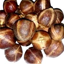 Image result for Thespesia garckeana