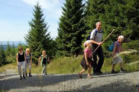Pin Auf Unterwegs Im Harz