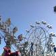 Carnival Rides & Games event image