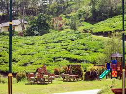 We recommend booking agro technology park in mardi tours ahead of time to secure your spot. Agro Technology Park In Mardi Cameron Highlands