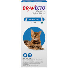 Thinking of buying a new cat? Bravecto Topical Solution For Cats 6 2 13 8 Lbs 3 Month Supply Petco
