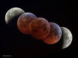 Interessantes schöne dunkelrosa blüte im mai, ideal auch für säfte und gelees, rote. Mondfinsternis Weltraumbild Des Tages