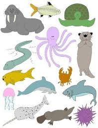Just Water Animals Clip Art 28 Pngs From Oceans Lakes Rivers And More Water Animals Lake Animals Clip Art