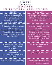 What Is The Difference Between Motif And Domain In Protein Structure Pediaa Com