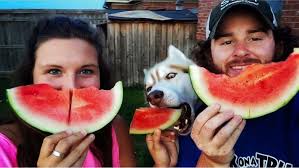 Meet Little Rock Family's 2016 Cutest Family Pet Contest Winners!