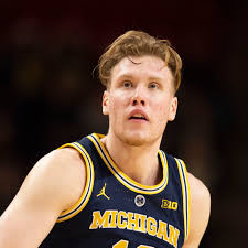 Image result for Dissotis brazzae