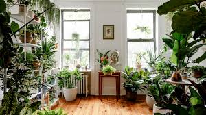 Indoor Plants Liven Up These 6 Homes | Architectural Digest | Architectural Digest