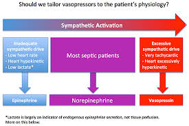 Image result for Vasopressor