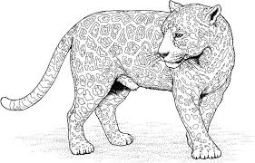 Ausmalbild Jaguar Tier Kostenlos Mandala Malvorlagen Ausmalbilder Tiere Mandalas Vorlagen Tiere