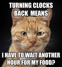 For those affected by the... - Forever Friends Humane Society | Facebook