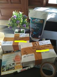 0822 3127 4749 Tsel Tempat Jual Penjernih Kolam Koi Berbusa Keruh Berkabut Bergelembung Claykoi Di 2020 Kolam Ikan Hijau Kolam