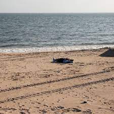Visiting 20 Of New York City S Hidden Beaches Curbed Ny