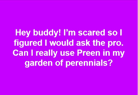 Amazon has the preen extended control weed preventer (4.93lb, 805sq ft) for a low $13.97. Garden Questions Answers And Stories The Mike Nowak Show