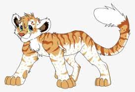 Female lions, which are called lionesses, are responsible for hunting for their pride, a group of lions. Liger White Lion Tiger Drawing Anime Liger Png Image Transparent Png Free Download On Seekpng