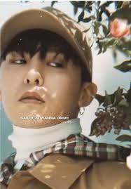 Emotional Lyrics That Resonate Deeply