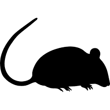 Rat Silhouette Free Vector Icons Designed By Freepik Rat Silhouette Silhouette Free Halloween Silhouettes