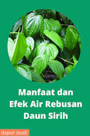 Pin Di Obat Herbal