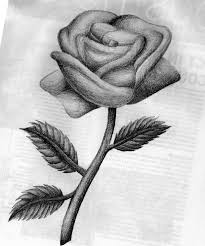 Love Hurts A Roc Royal Love Story Roses Drawing Flower Drawing Drawings
