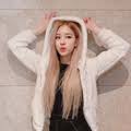 Live turkeys are generally sold as day old poults (freshly hatched chicks). What Is The Meaning Of What Does Means Pabo In Korea Question About English Us Hinative