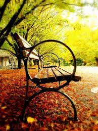 This Picture Shows The Repeated Park Bench Railings Get Smaller And Draws A Line Down The Page And Amazing Photography Creative Photography Nature Photography