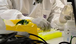 Race To Develop Coronavirus Vaccine Uq News The University Of Queensland Australia