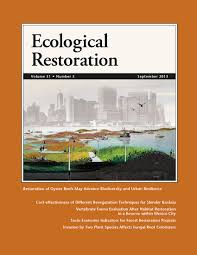 Image result for Microchloa altera