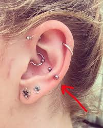 ash ross on instagram another fresh piercing by maddychan hit her up for all your piercing needs snugpiercing piercing piercing ideen ohrknorpel piercing