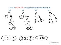 What is a prime number? Prime Factorization Instruction Using Factor Tree Youtube