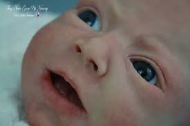 TheyNeverGrowUpNursery: June 2017