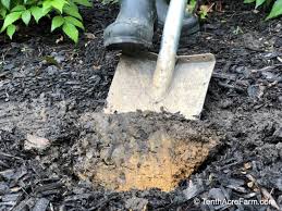 Here's how to get rid of you could submit a sample which could help guide you on proper measures to improve the soil in. How To Improve Clay Soil In 6 Steps Tenth Acre Farm
