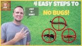 Want to know how to apply insecticides around your home yourself? How To Do A General Pest Control Treatment Diy Pest Control Domyown Com Youtube