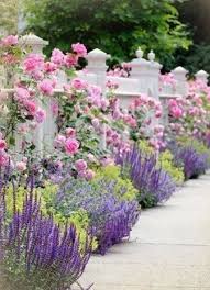 Pin On Gardens