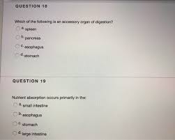 Solved Question 18 Which Of The Following Is An Accessory Chegg Com