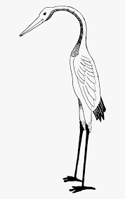 Selain binatang darat, ada juga binatang laut seperti hiu megalodon yang terkenal akan keganasannya. Gambar Kartun Burung Bangau Hd Png Download Kindpng