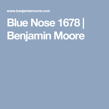 Blue Nose 1678 Benjamin Moore Balboa Mist Benjamin Moore Benjamin Moore Colors
