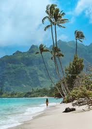 Away Lands Destinations - Hawaii | Away Lands