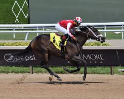 Win N Your In takes Sharp Susan; Naughty Rascal prevails in ...
