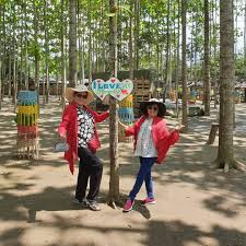 Wisata karanganyar 10 destinasi terbaik diantaranya cadi sukuh, cetho, pura pasek, grojogan sewu, jumog, segoro gunung sekipan balekambang kemuning madirda. Lokasi Dan Rute Kawung 3 Bojong Rangkas Cikarang Destinasi Wisata Seru Cocok Untuk Pecinta Petualangan Daka Tour