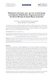 PDF) Meplitumenaluna gen. nov., sp. nov. an interesting eutardigrade  (Hypsibiidae, Itaquasconinae) from the Sierra Nevada de Santa Marta,  Colombia