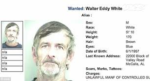 The Real Walter White, The True Story of the Best Meth Cook in Alabama